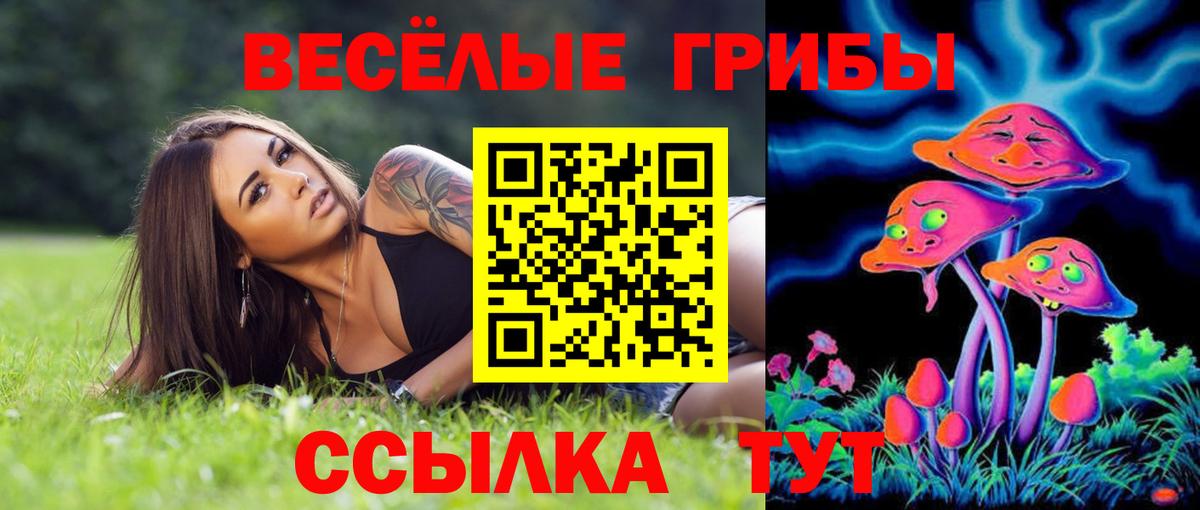 Галлюциногенные грибы Psilocybine cubensis Выкса