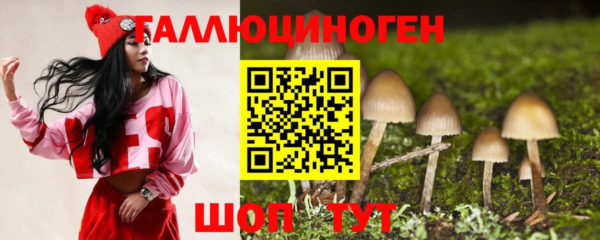 Псилоцибиновые грибы ЛСД  Вход с VPN  Выкса  купить закладку  Псилоцибиновые грибы Cubensis 